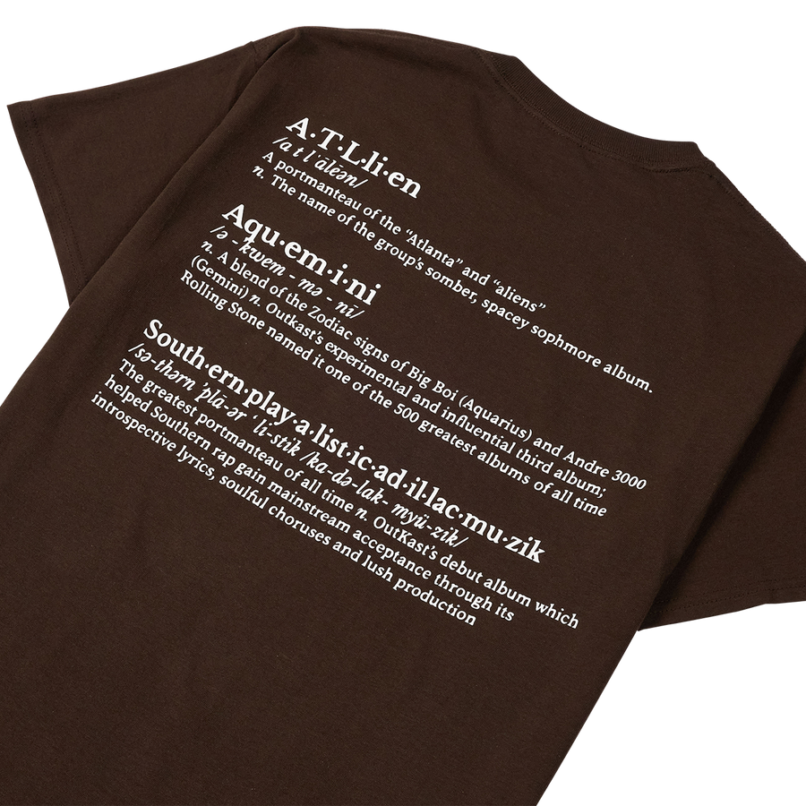 PLEASURES + OUTKAST VOCABULARY SS TSHIRT - BROWN